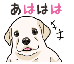 Wanko-biyori puppy Labrador retriever 3 sticker #14418832