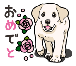 Wanko-biyori puppy Labrador retriever 3 sticker #14418834