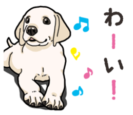 Wanko-biyori puppy Labrador retriever 3 sticker #14418840