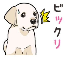 Wanko-biyori puppy Labrador retriever 3 sticker #14418842