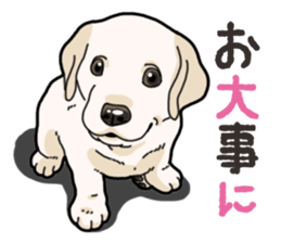 Wanko-biyori puppy Labrador retriever 3 sticker #14418844