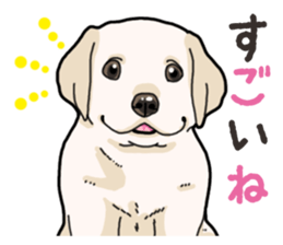 Wanko-biyori puppy Labrador retriever 3 sticker #14418848