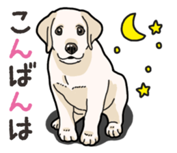 Wanko-biyori puppy Labrador retriever 3 sticker #14418850
