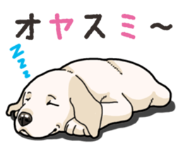 Wanko-biyori puppy Labrador retriever 3 sticker #14418852