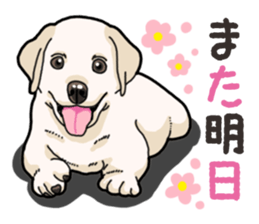 Wanko-biyori puppy Labrador retriever 3 sticker #14418853