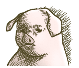 The world of the pig. 3 sticker #14419569