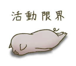 The world of the pig. 3 sticker #14419576