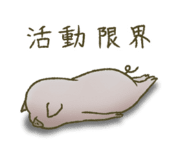 The world of the pig. 3 sticker #14419576