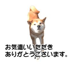 A-chan of Shibainu 5(Thankyou) sticker #14420683