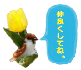 sticker of a monkey of wool felt. sticker #14421496