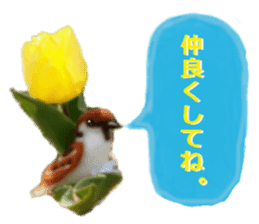 sticker of a monkey of wool felt. sticker #14421496