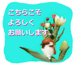 sticker of a monkey of wool felt. sticker #14421497