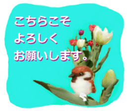 sticker of a monkey of wool felt. sticker #14421497