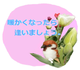 sticker of a monkey of wool felt. sticker #14421498