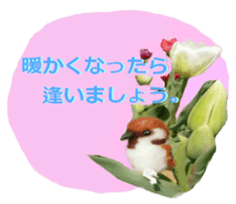 sticker of a monkey of wool felt. sticker #14421498