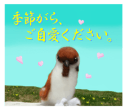 sticker of a monkey of wool felt. sticker #14421499