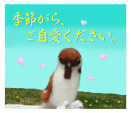 sticker of a monkey of wool felt. sticker #14421499