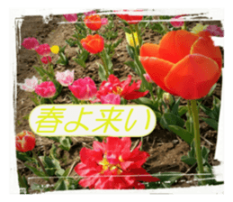 sticker of a monkey of wool felt. sticker #14421500