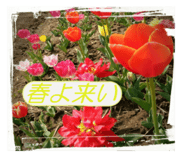 sticker of a monkey of wool felt. sticker #14421500