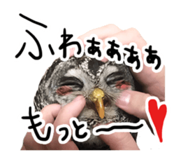 Rufous Legged Owl - Meme sticker #14422250