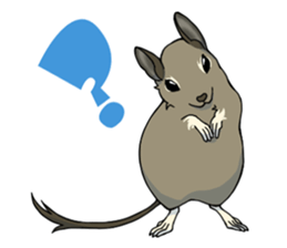 Octodon degus sticker #14422374