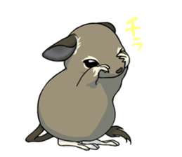 Octodon degus sticker #14422381