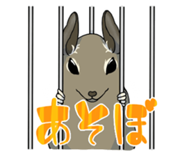 Octodon degus sticker #14422383