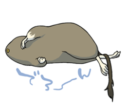 Octodon degus sticker #14422389