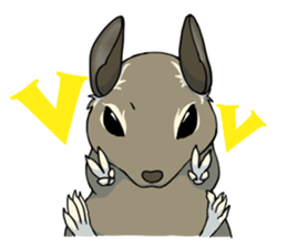 Octodon degus sticker #14422391