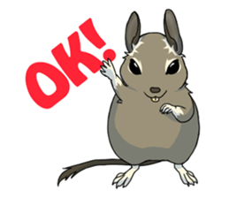 Octodon degus sticker #14422400