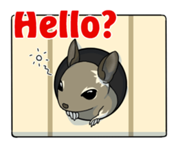 Octodon degus sticker #14422401