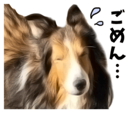 Nakayoshi wanko sticker #14422537