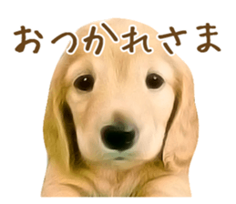 Nakayoshi wanko sticker #14422538