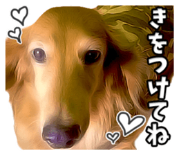 Nakayoshi wanko sticker #14422540