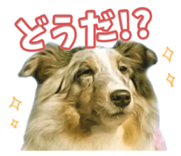 Nakayoshi wanko sticker #14422541