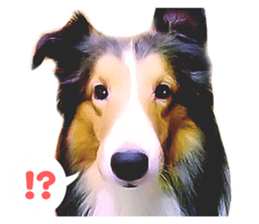 Nakayoshi wanko sticker #14422546