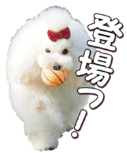 doggiesfan4 sticker #14422886