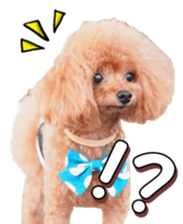 doggiesfan4 sticker #14422888