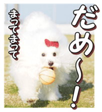 doggiesfan4 sticker #14422893