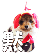 doggiesfan4 sticker #14422895