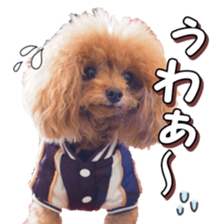 doggiesfan4 sticker #14422898