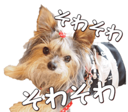 doggiesfan4 sticker #14422902