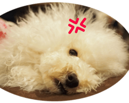 doggiesfan4 sticker #14422903