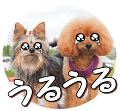 doggiesfan4 sticker #14422905