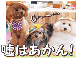 doggiesfan4 sticker #14422910