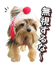 doggiesfan4 sticker #14422913