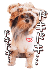 doggiesfan4 sticker #14422914
