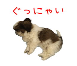 chibiyuta sticker sticker #14423455