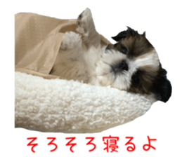 chibiyuta sticker sticker #14423456