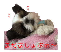 chibiyuta sticker sticker #14423457